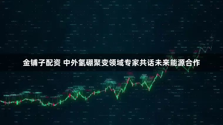 金铺子配资 中外氢硼聚变领域专家共话未来能源合作