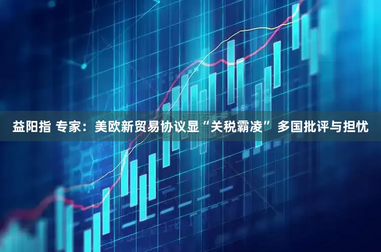 益阳指 专家：美欧新贸易协议显“关税霸凌” 多国批评与担忧
