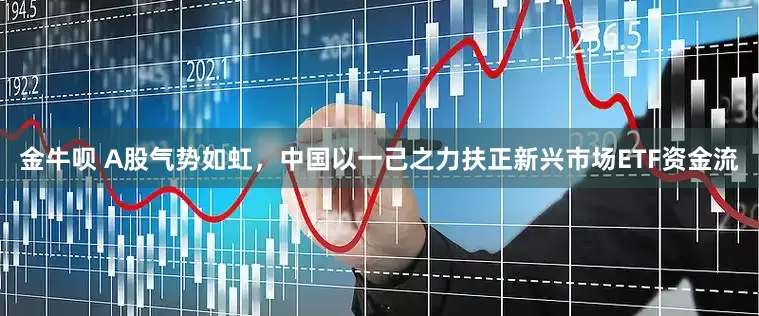 金牛呗 A股气势如虹，中国以一己之力扶正新兴市场ETF资金流