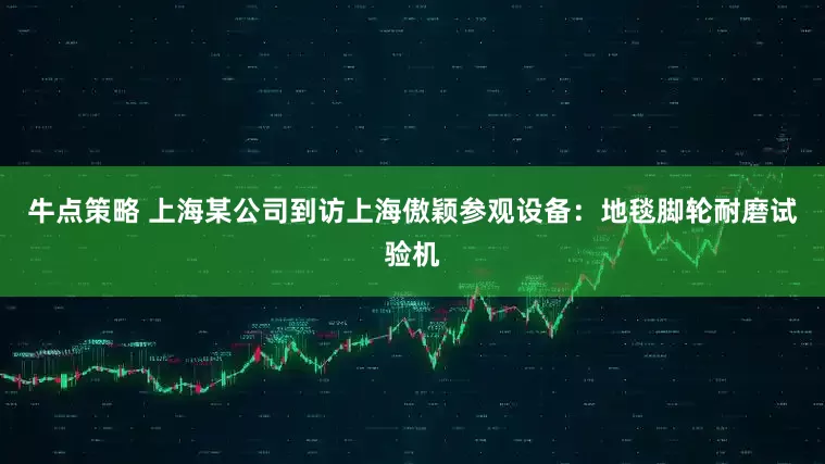 牛点策略 上海某公司到访上海傲颖参观设备：地毯脚轮耐磨试验机