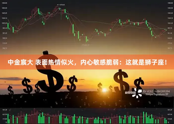 中金宸大 表面热情似火，内心敏感脆弱：这就是狮子座！